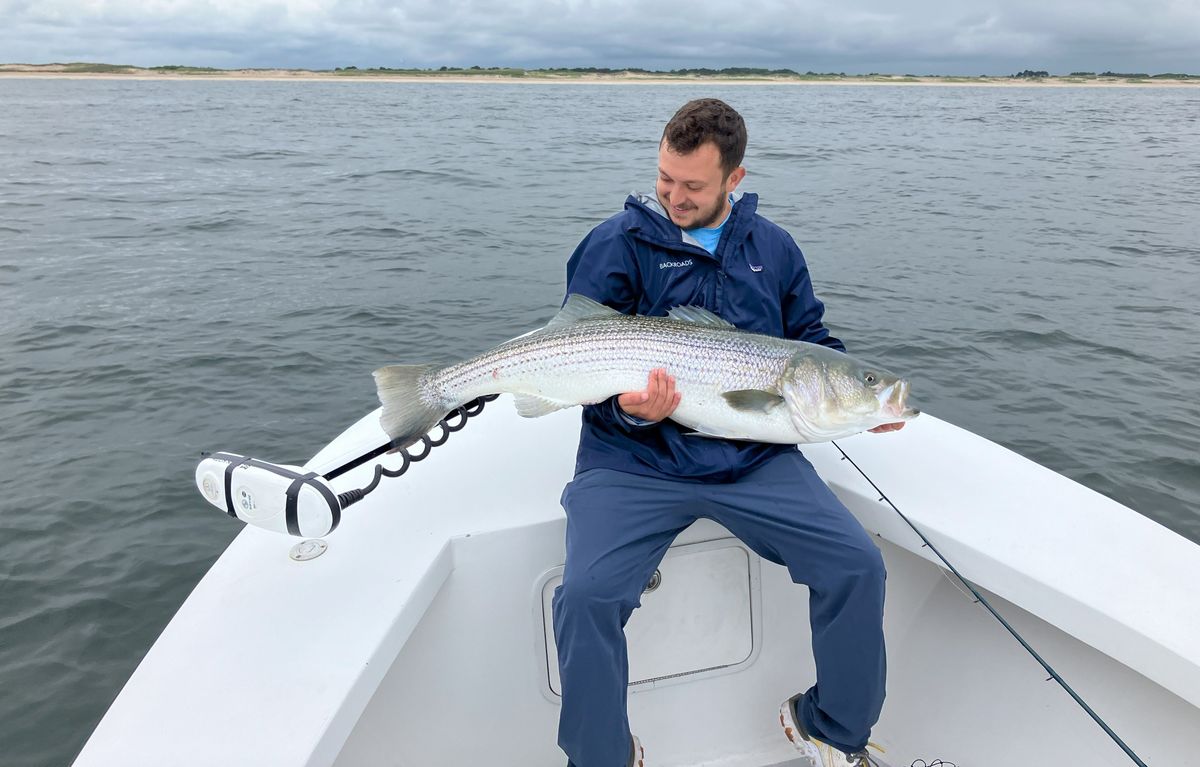 Great Marsh Outfitters